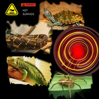 OMAYKEY - Lámpara de calor de cerámica de 75 W, 2 unidades, emisora de calor de reptil infrarroja para mascotas Brooder Coop Pollo, Lagarto tortuga, Acuario sin luz, sin daño, fuente de calor 24 horas - BESTMASCOTA.COM