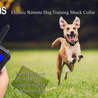 Mockins - Collar para perros con vibración de pitido y control remoto electrónico 100% resistente a la lluvia – Collar de distancia de 990 pies para perros ... - BESTMASCOTA.COM