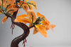 Pennplax R969 - Decoración de acuario para árbol de bonsái rojo, 8.0 in - BESTMASCOTA.COM