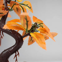 Pennplax R969 - Decoración de acuario para árbol de bonsái rojo, 8.0 in - BESTMASCOTA.COM