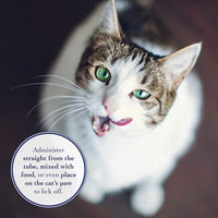 Richard de Organics – Hairball Remedio Natural equilibrado Suplemento dietético - BESTMASCOTA.COM