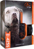 SD-425S de SportDOG, adiestrador de campo para perros grandes y tercos, collar de adiestramiento de choque a prueba de agua - BESTMASCOTA.COM