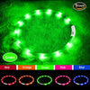 Collar LED para perro, recargable por USB, collar brillante para perro, cuello iluminado, mejora la seguridad y visibilidad de la mascota en la noche, 3 modos intermitentes, resistente al agua, collar iluminado para perros pequeños y medianos grandes - BESTMASCOTA.COM