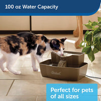 Bebedero PetSafe fuente de agua de varios niveles para mascotas - BESTMASCOTA.COM