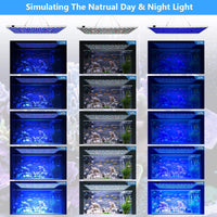 Relassy Luz de acuario, 300 W de espectro completo, luz de arrecife de coral LED para acuario de agua salada, tanque de peces de agua dulce con 2 regulables luz blanca y azul - BESTMASCOTA.COM