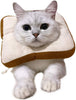 USAMS Collar ajustable para recuperación de gatos, lindo cono de cuello después de la cirugía, curación de heridas, recuperación de cirugía cono Elizabethan collares, borde suave para gatitos y gatos (1 paquete) - BESTMASCOTA.COM