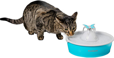 PetSafe Drinkwell Cat and Dog Water Fountain - Butterfly or Original Pet Drinking Fountain - Best for Cats and Small Dogs - BESTMASCOTA.COM
