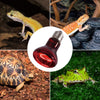 reptizoo – Paquete de 2 de infrarrojos del 75 W Spot Lámpara, foco de infrarrojos para reptiles y anfibios uso - BESTMASCOTA.COM