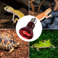 reptizoo – Paquete de 2 de infrarrojos del 75 W Spot Lámpara, foco de infrarrojos para reptiles y anfibios uso - BESTMASCOTA.COM