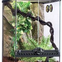 Kit de hábitat de bosque lluvioso Exo Terra, S - BESTMASCOTA.COM