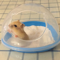 SatisPet hámster Arena Baño Grande en Blue- baño de arena contenedor de plástico con Scoop hámster Sandbox - BESTMASCOTA.COM