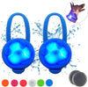 Hunter Paisley Luz LED para Collar de Perro Caminando por la Noche.Paquete de 2 Pack Impermeable Perro Luz LED Super Brillante para Perro Paseo Nocturno Adjuntar al Collar, Correa o Arnés, Baterías Extras - BESTMASCOTA.COM