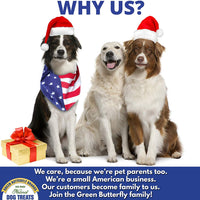 Green Butterfly Brands Beef Dog Treats - Made in USA Only - All Natural, Meaty Slow Roasted Beef Tips - Premium American Beef - Grass Fed, Farm Raised - Crunchy & Delicious Grain Free Training Treat - BESTMASCOTA.COM