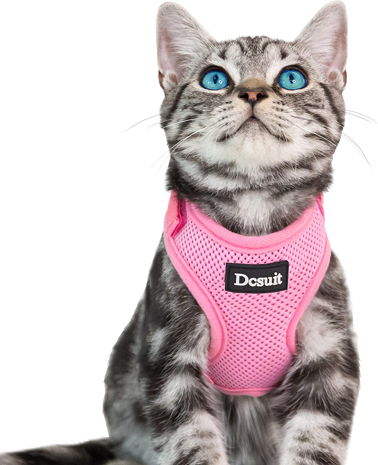 Eagloo cat cheap harness