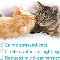Comfort Zone MultiCat Calming Diffuser Refill Only, New 2X Pheromones for Cats Formula 6 Pack - BESTMASCOTA.COM