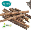 Deyace Catnip Sticks 40 piezas Orgánica Gato Catnip Juguetes Natural Planta Matatabi Plata Vina Masticar Palos Gato Dientes Limpieza Masticar Juguete para Gato Gatito Kitty (40 piezas) - BESTMASCOTA.COM