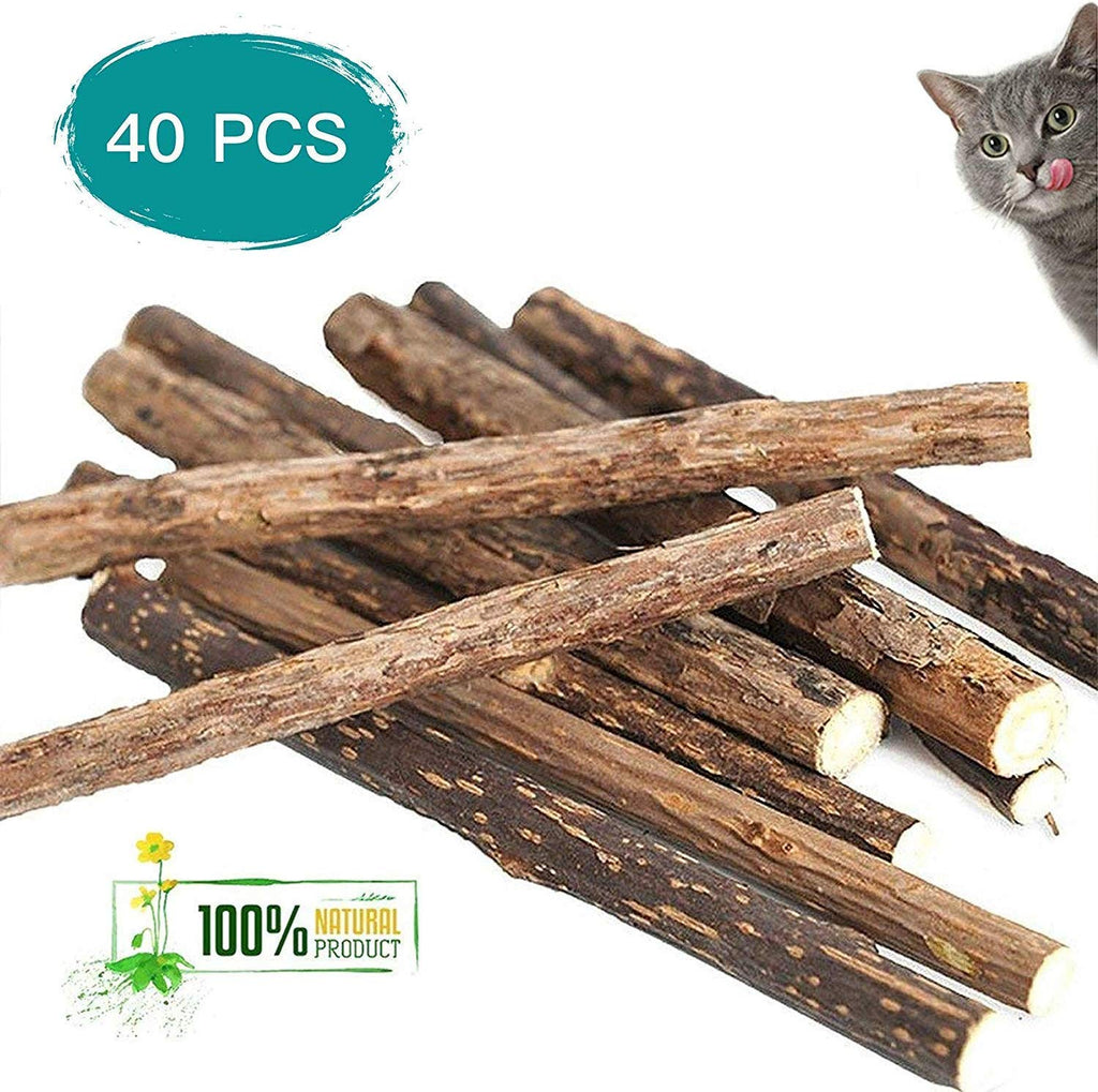 Deyace Catnip Sticks 40 piezas Orgánica Gato Catnip Juguetes Natural Planta Matatabi Plata Vina Masticar Palos Gato Dientes Limpieza Masticar Juguete para Gato Gatito Kitty (40 piezas) - BESTMASCOTA.COM