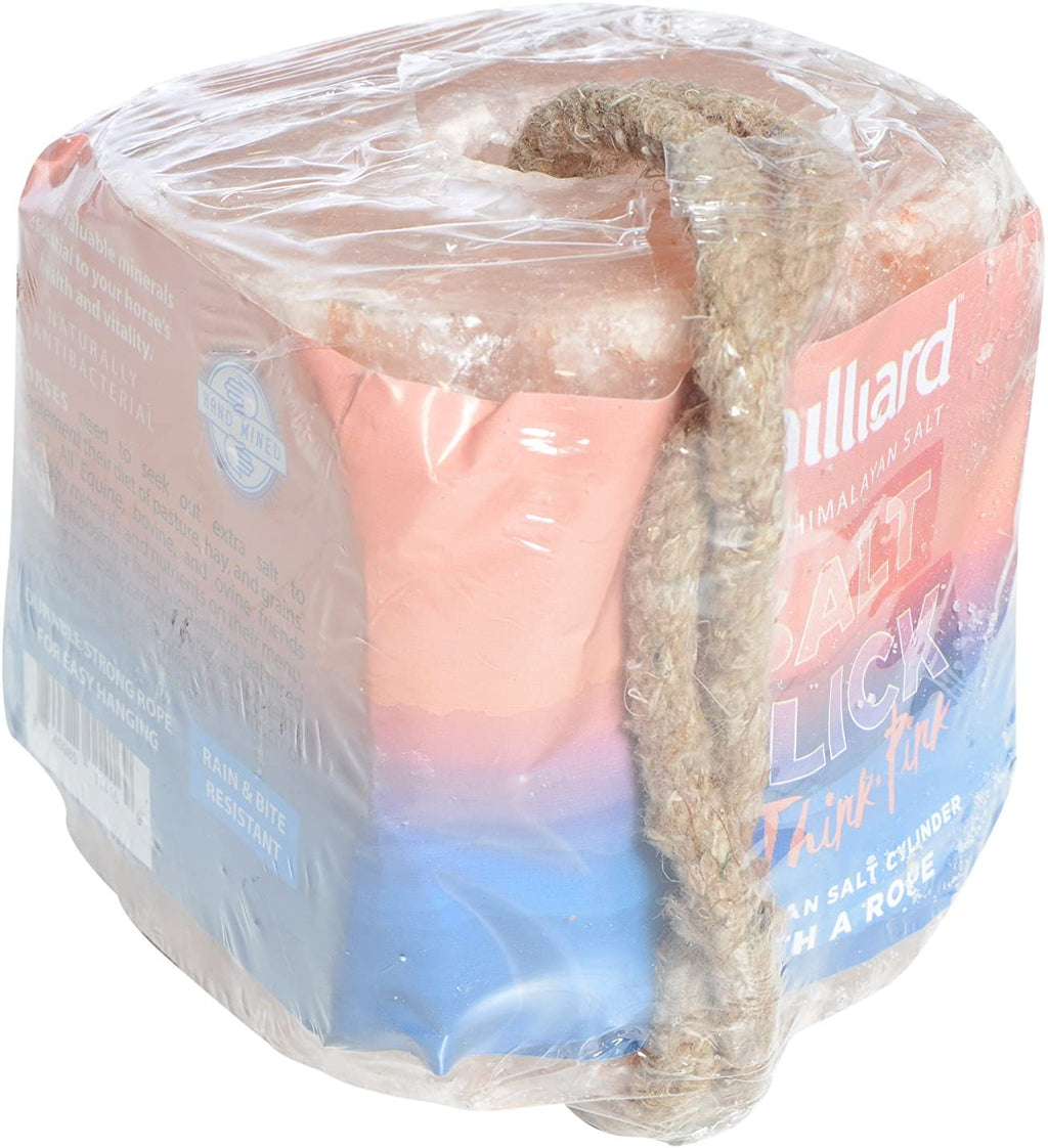 MILLIARD – 6 libras Lick para caballos, Ciervo, y el Ganado de sal del Himalaya – 6LB cubeta con cuerda - BESTMASCOTA.COM