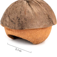 Niteangel - Cueva de coco para ocultar y aliviar el estrés y la decoración del hábitat - BESTMASCOTA.COM