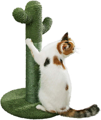 PetnPurr - Rascador para gatos con pelota, color verde - BESTMASCOTA.COM