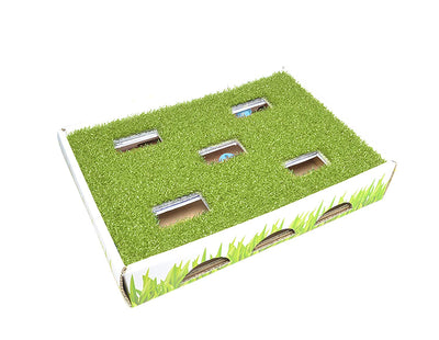 Petstages Grass Patch Hunting and Play Box Cat Ball Toy - BESTMASCOTA.COM