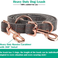 KUYOUGOU - Collar y correa para perro (6.6 ft), diseño elegante con juego de oro rosa, 3 longitudes ajustables, para perros pequeños a grandes - BESTMASCOTA.COM
