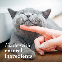 Richard de Organics – Hairball Remedio Natural equilibrado Suplemento dietético - BESTMASCOTA.COM