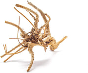 Artes Acuático 1 pieza pequeña de madera Aka Azalea Acuario Natural Driftwood de araña, 6 – 9" - BESTMASCOTA.COM