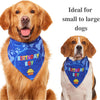 Odi Style Dog Bandana for Dog Birthday Party - Dog Birthday Bandana for Small, Medium, Large Dogs, Bandana for Dogs Puppy Birthday Party, Boy Dog Happy Birthday Bandana, Blue - BESTMASCOTA.COM