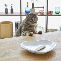 Filete de atún con parrilla en calamari, para gatos, 6 unidades - BESTMASCOTA.COM