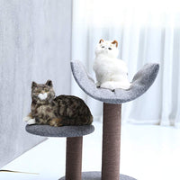 Petpals - Torre para gato con rascador de arena para actividades de gato - BESTMASCOTA.COM