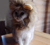 Lion Mane peluca para Cat Costume - BESTMASCOTA.COM