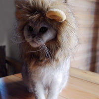 Lion Mane peluca para Cat Costume - BESTMASCOTA.COM