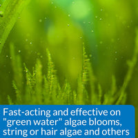 API ALGAEFIX - Botella de 8 onzas - BESTMASCOTA.COM