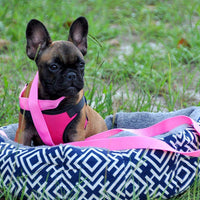 Akarden - Cama para gatos y perros, cómoda cama para gatos y perros, cama para mascotas de interior autocalentable, lavable a máquina - BESTMASCOTA.COM