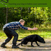 Silbato para perro SmartPet | Silbato profesional para detener ladridos | Herramienta de entrenamiento ultrasónico ajustable | Control de corteza silencioso para perros | Audible para humanos | Cordón de alta calidad e instrucciones de entrenamiento - BESTMASCOTA.COM