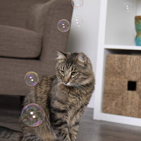 Bliss Burbujas 6 oz Catnip Burbujas - BESTMASCOTA.COM