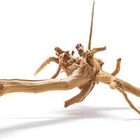 Artes Acuático 1 pieza pequeña de madera Aka Azalea Acuario Natural Driftwood de araña, 6 – 9" - BESTMASCOTA.COM
