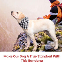 IOKHEIRA - Bandana de búfalo para perro, 5 unidades, doble reversible, para cachorro, tamaño grande, tamaño mediano, bandanas, bufandas de impresión a cuadros, accesorios para perros - BESTMASCOTA.COM