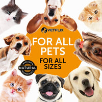 Alergia de mascotas y apoyo inmunológico – Fabricado en Estados Unidos – Alivio de alergias para gatos y perros – 100% natural – Cardo de leche y cúrcuma – El mejor tratamiento para el sistema inmunológico para perros y gatos – Vitamina C para mascotas – - BESTMASCOTA.COM