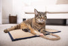 SmartyKat – Rascador para mascotas – Triple panel plegable colgante, multicolor - BESTMASCOTA.COM