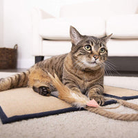 SmartyKat – Rascador para mascotas – Triple panel plegable colgante, multicolor - BESTMASCOTA.COM