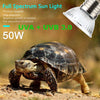 OMAYKEY 3 Pack 50W UVA + UVB Full Spectrum Sun Lamp Sunbathe Heat Lamp/Bulp/Light for Lizard Reptiles and Amphibians - BESTMASCOTA.COM