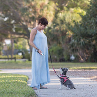 Dispositivo disuasorio del ladrido, detiene tanto el ladrido como otros comportamientos no deseados, seguro para los humanos - BESTMASCOTA.COM