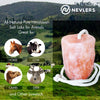 Nevlers 2 Pack All Natural Pure Himalayan Salt Licks for Animals - Great for Horses, Cows, Deer, and Other Livestock - Ropes Included - 4.5-6.5 lbs Each - BESTMASCOTA.COM