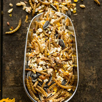 Alimento para pollos orgánicos pollo Crack – Saludable Treat - BESTMASCOTA.COM