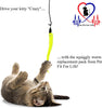 Pet Fit para la vida 5 pieza Pack de gusanos de repuesto para interactivo gato y kitten Toy wands - BESTMASCOTA.COM