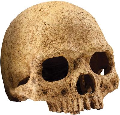 Exo Terra Primate Skull Hideaway, talla única - BESTMASCOTA.COM