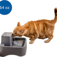 PetSafe Drinkwell Fuente de agua para gatos y perros – Platino, 1/2 o 1 galón para mascotas – 64 oz, 128 oz o 168 oz - BESTMASCOTA.COM