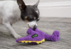 GoDog Dinos Bruto con tecnología de protección para masticar juguete para perro, Mini, morado - BESTMASCOTA.COM